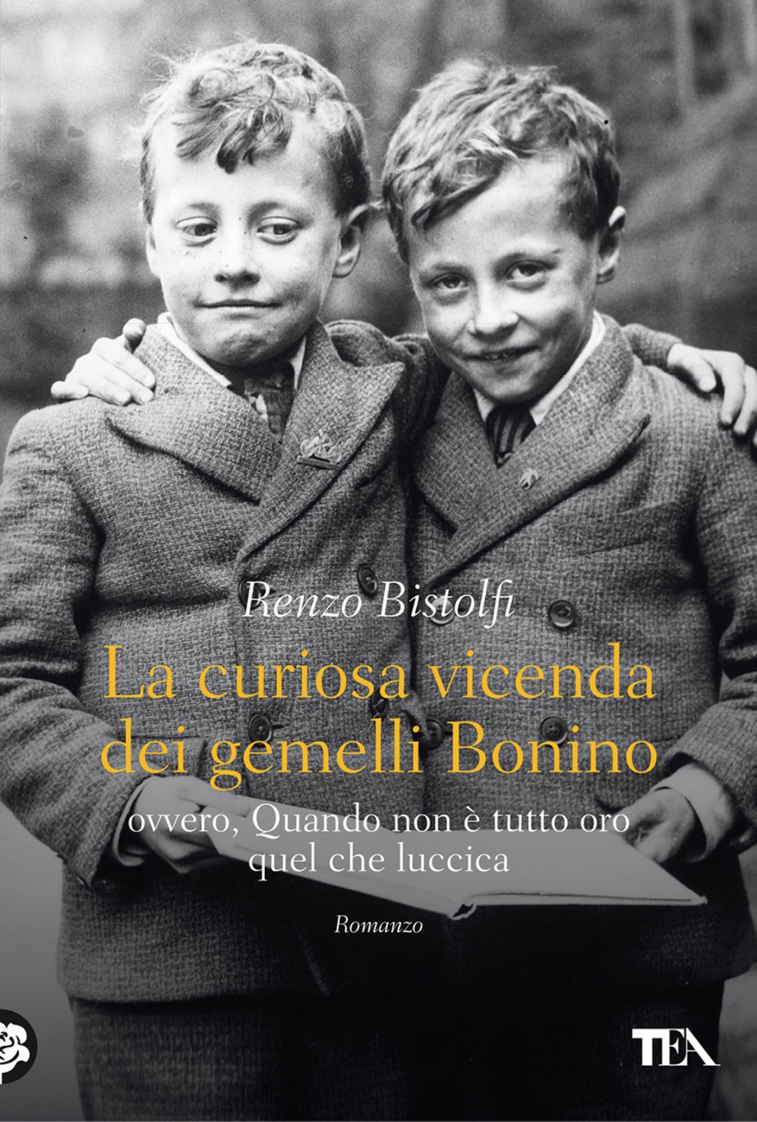 La curiosa vicenda dei gemelli Bonino ebook cover