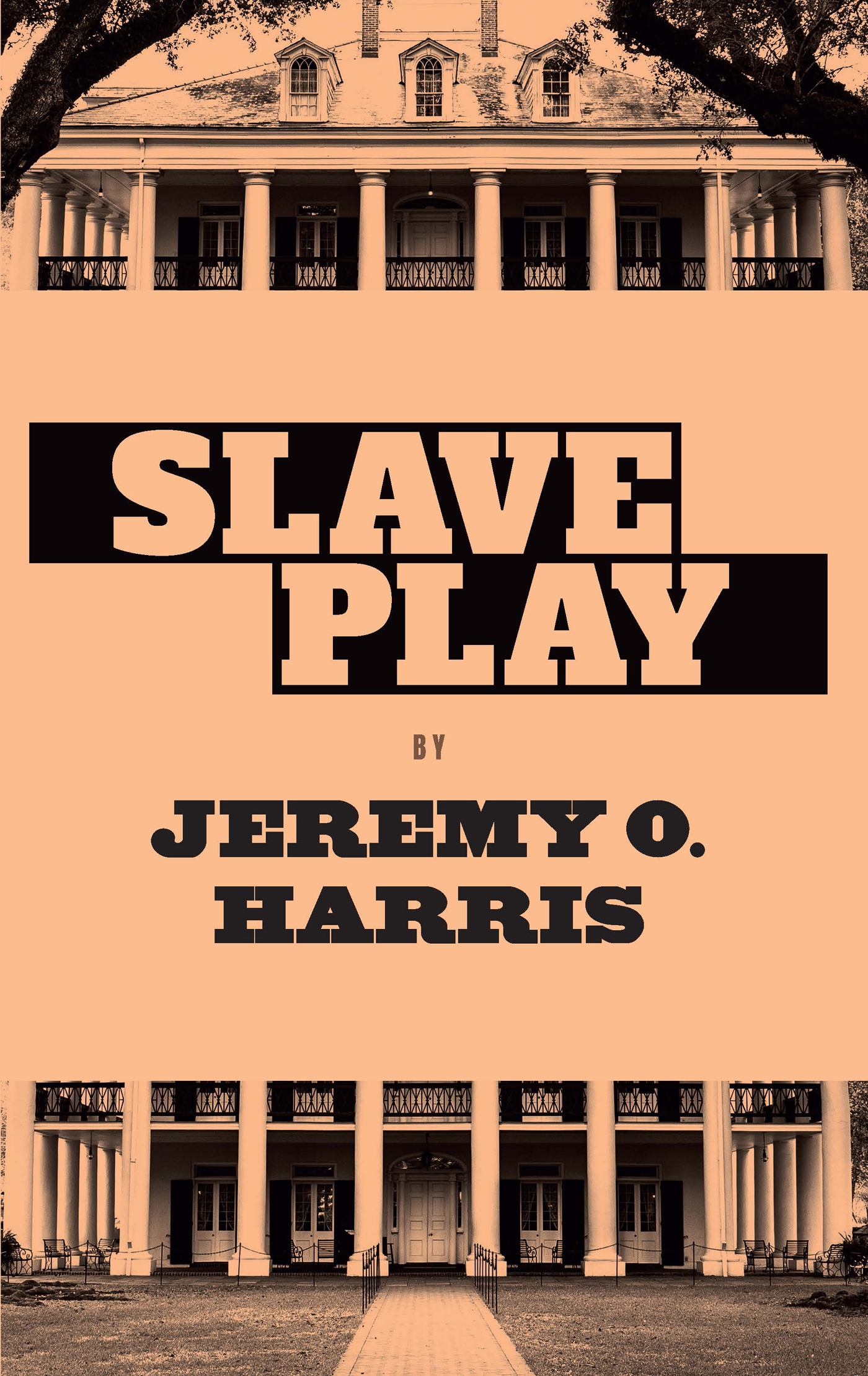 Slave Play ebook cover