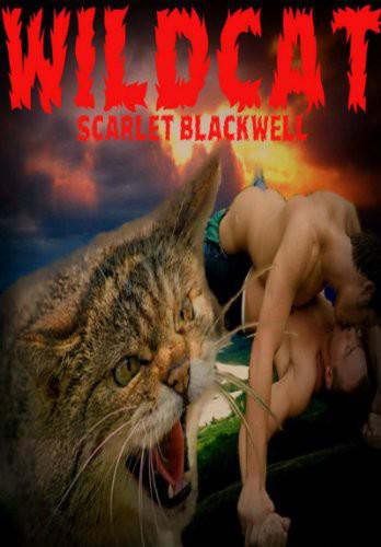 Wildcat ebook cover