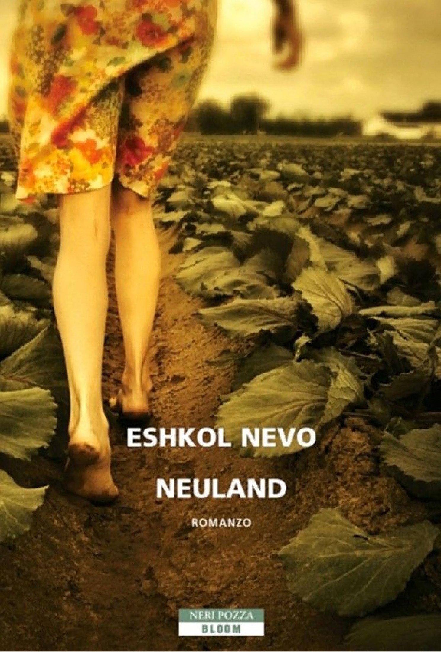 Neuland ebook cover