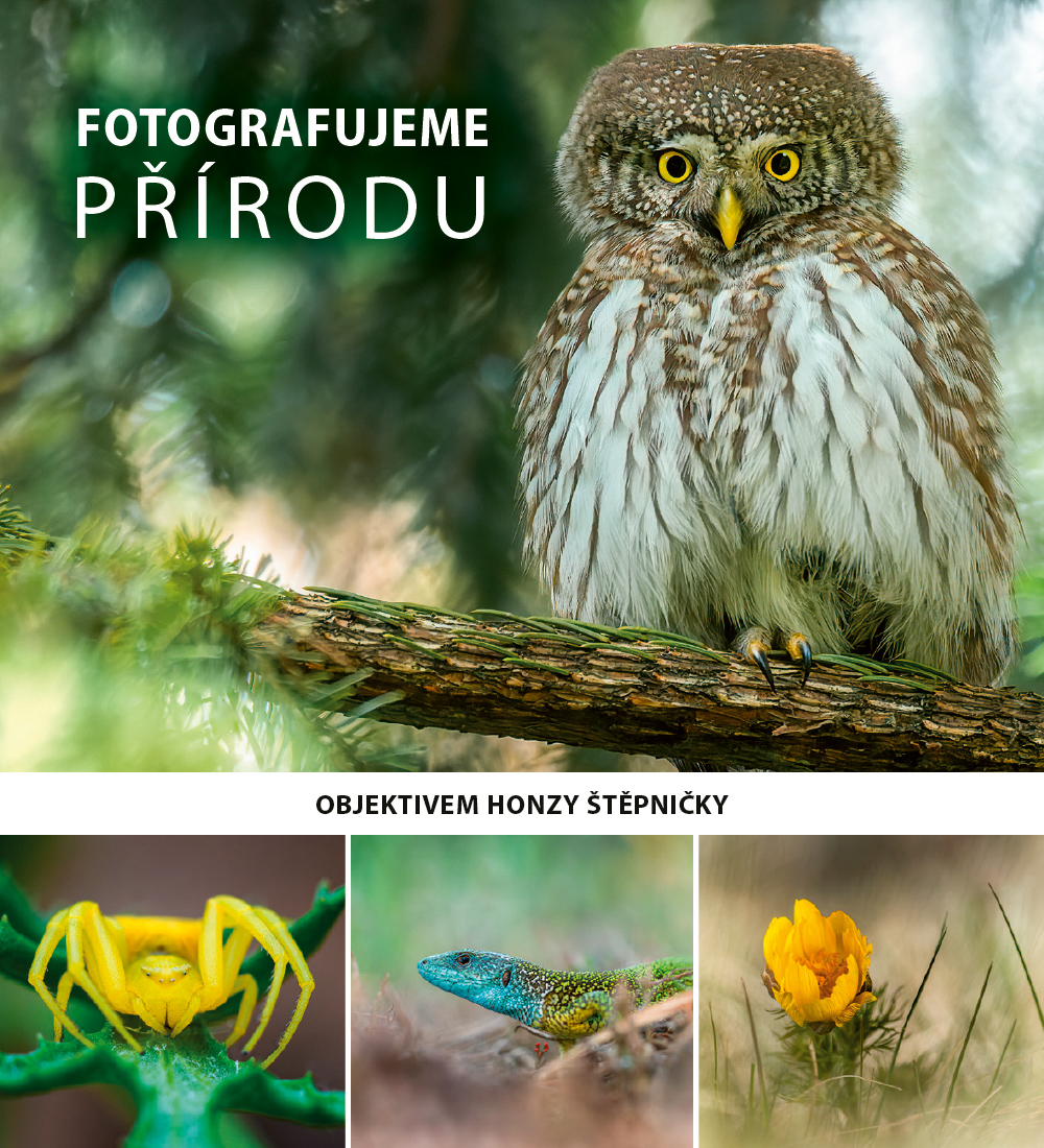 Fotografujeme p&Aring;&trade;&Atilde;&shy;rodu: Objektivem Honzy &Aring;&nbsp;t&Auml;&rsaquo;pni&Auml;ky ebook cover