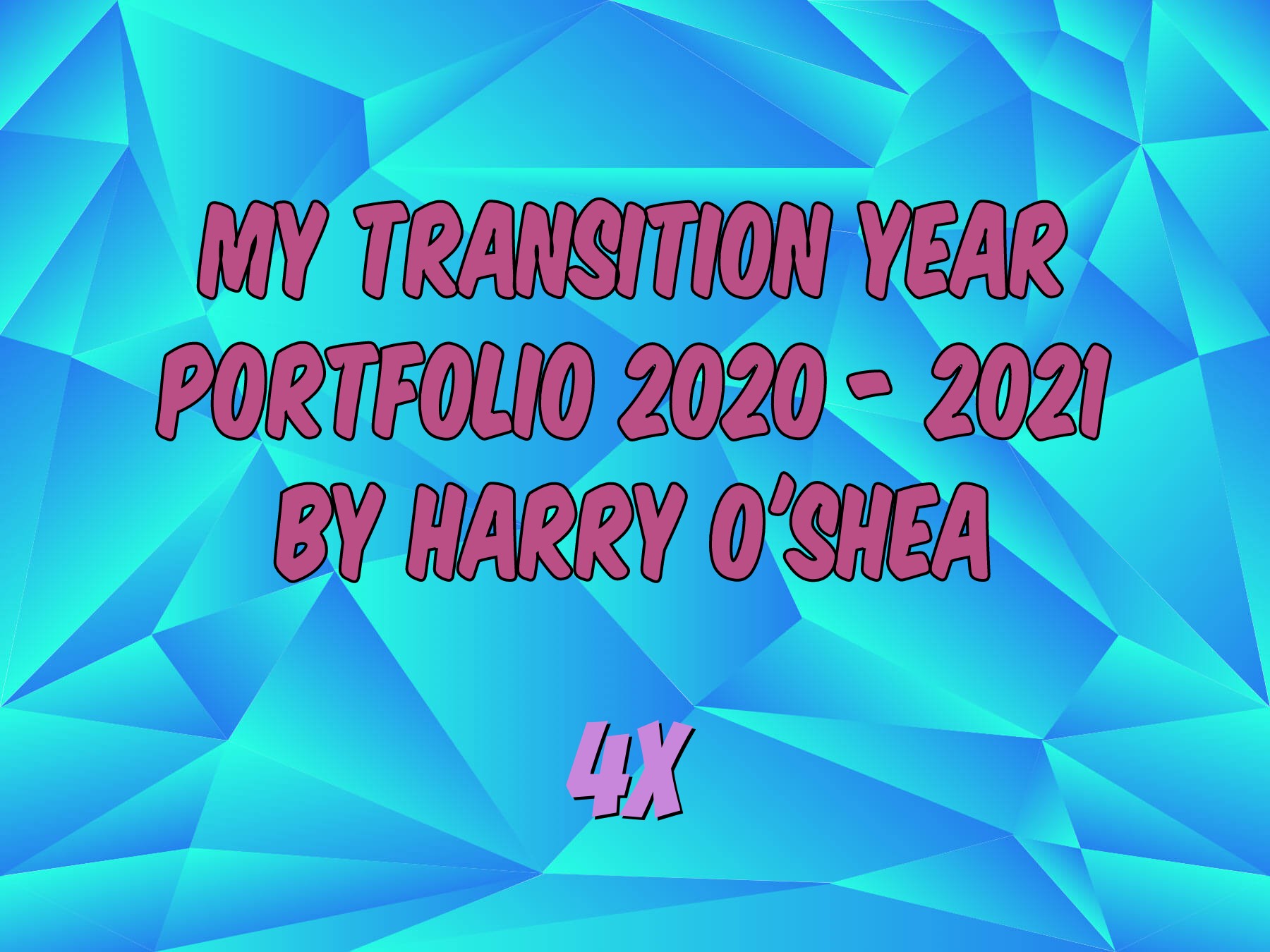 Harry O'Shea's Transition Year Portfolio 2020 2021 ebook cover