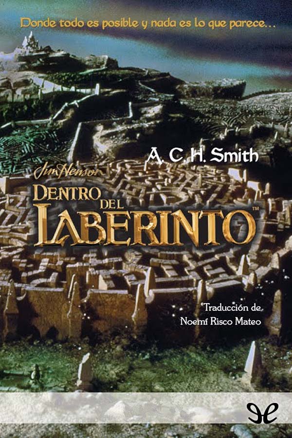 Dentro del laberinto ebook cover