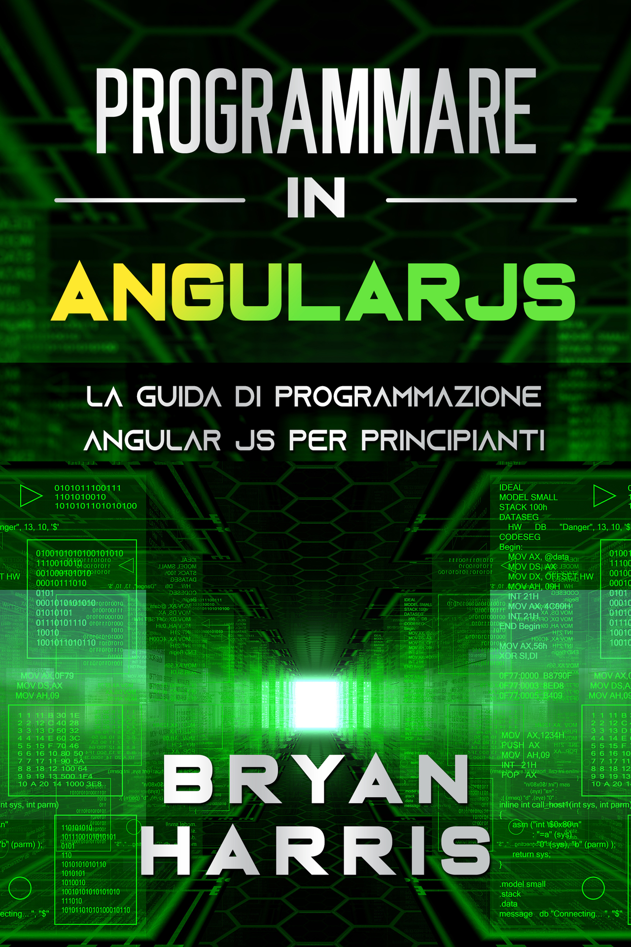 PROGRAMMARE IN ANGULARJS: La guida di programmazione Angular JS per principianti. (Italian Edition) ebook cover