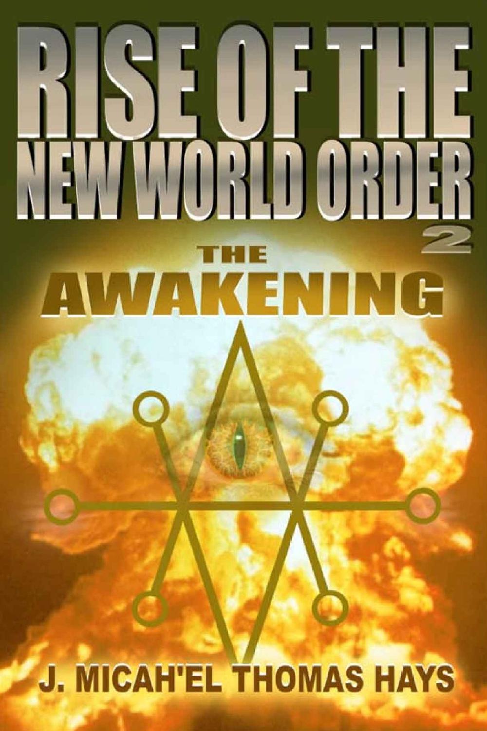 Rise of the New World Order 2: The Awakening ebook cover