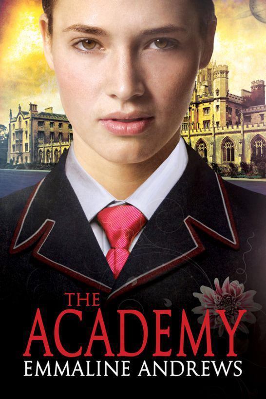 The Academy ebook cover
