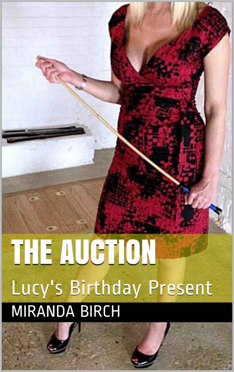 The Auction ebook cover