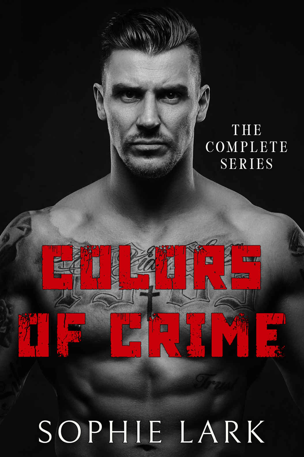 Colors of Crime: The Complete Series ebook cover