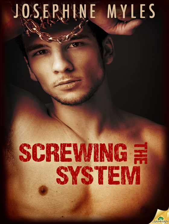 Screwing the System ebook cover