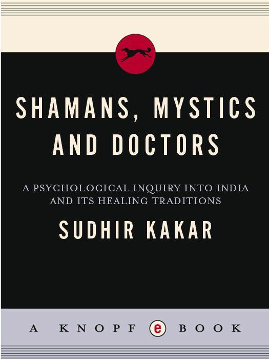 Shamans, Mystics, and Doctors ebook cover