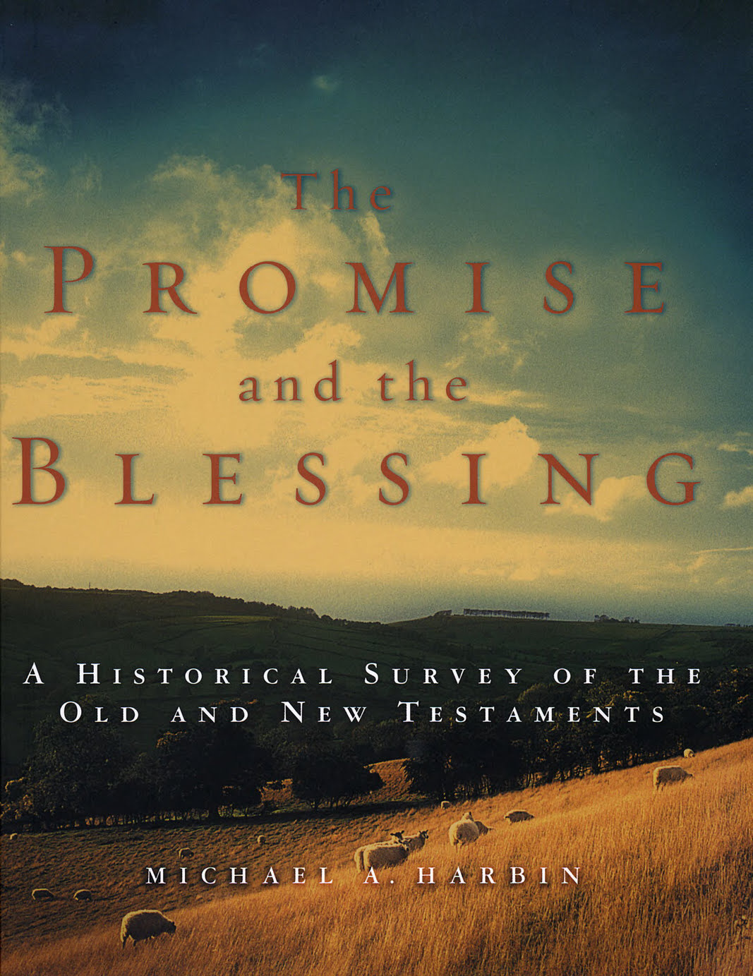 The Promise and the Blessing: A Historical Survey of the Old and New Testaments ebook cover