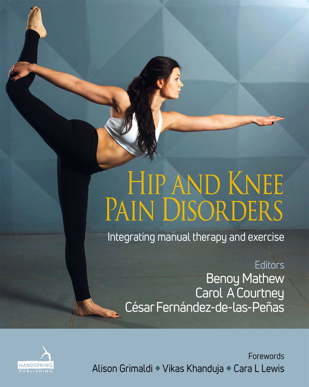 Hip and Knee Pain Disorders ebook cover
