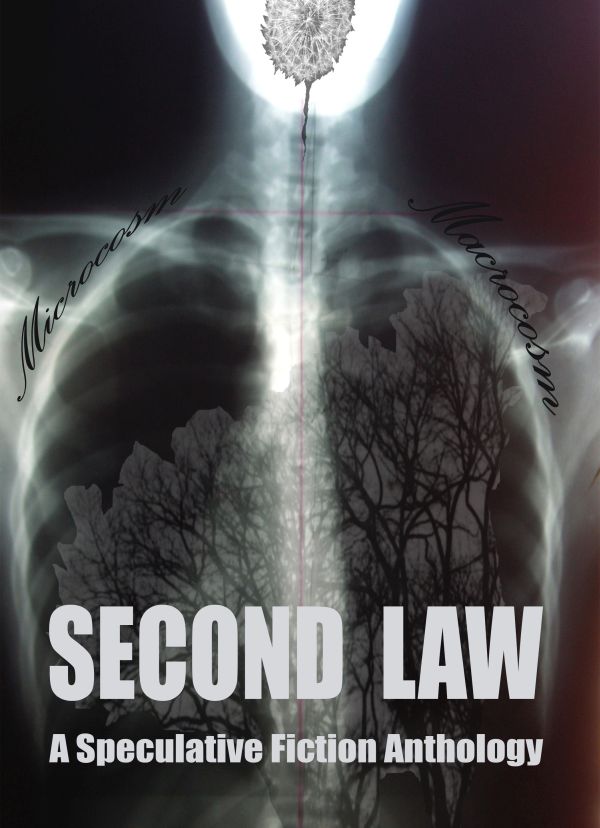 Second Law - A Speculative Fiction Anthology ebook cover