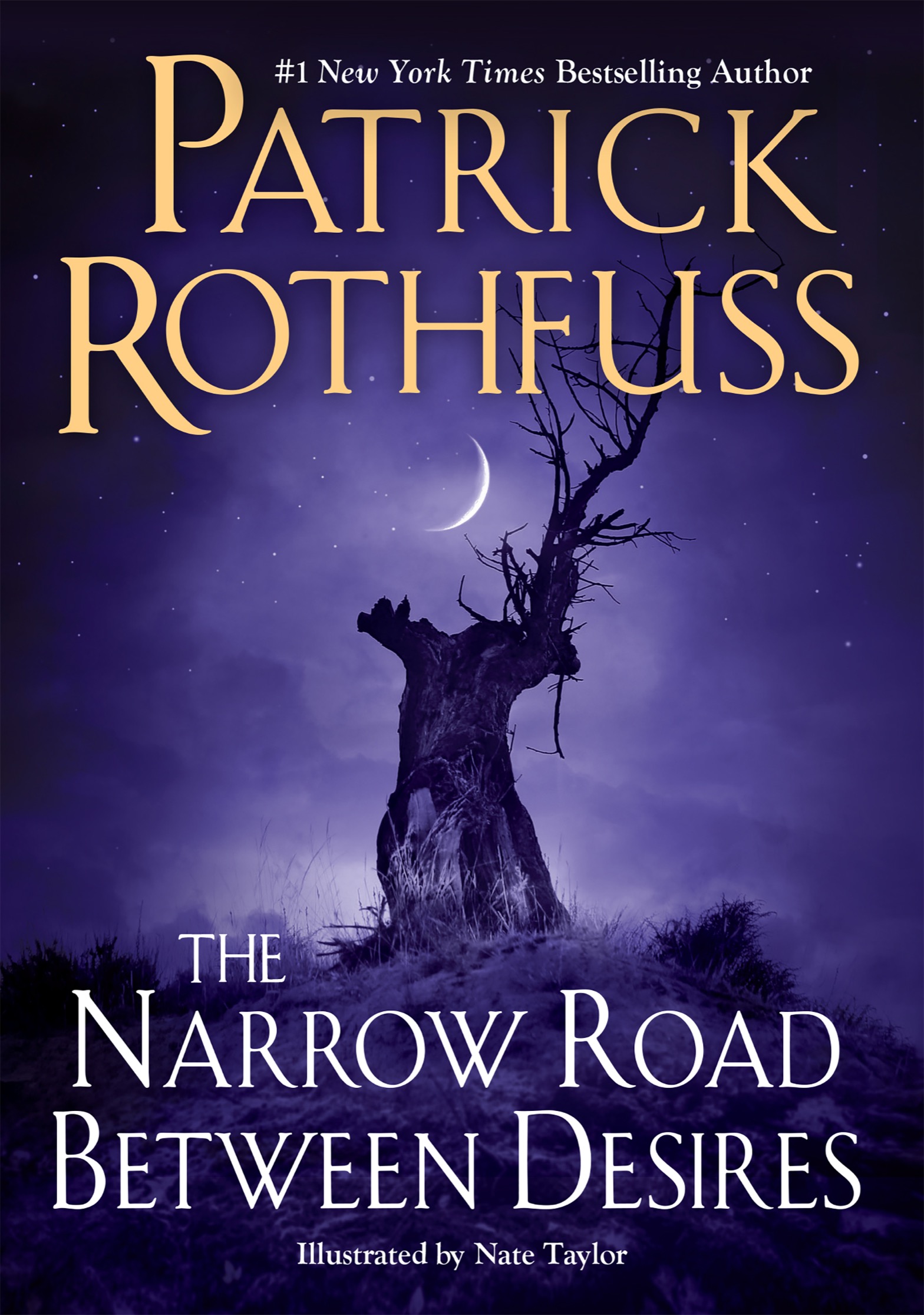 The Narrow Road Between Desires ebook cover