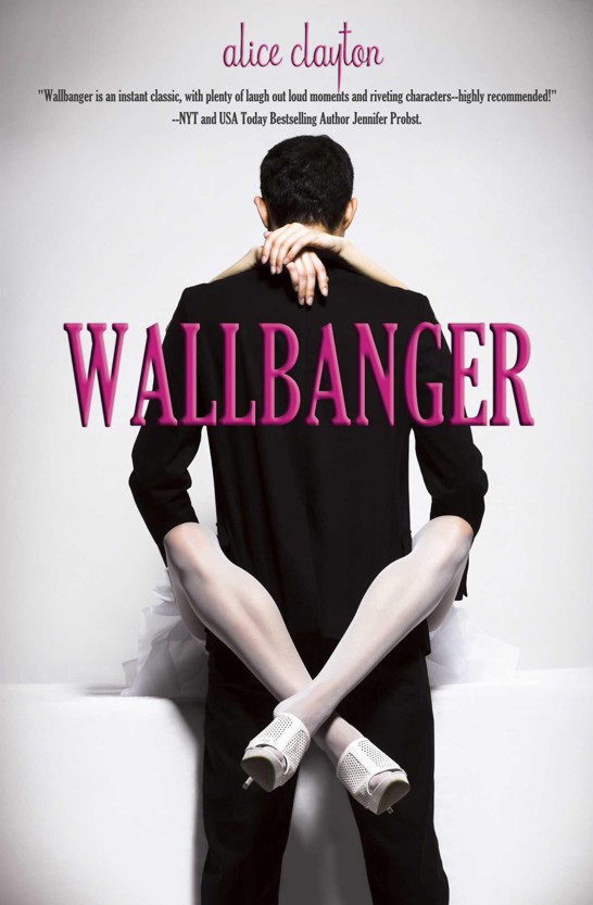 Wallbanger ebook cover