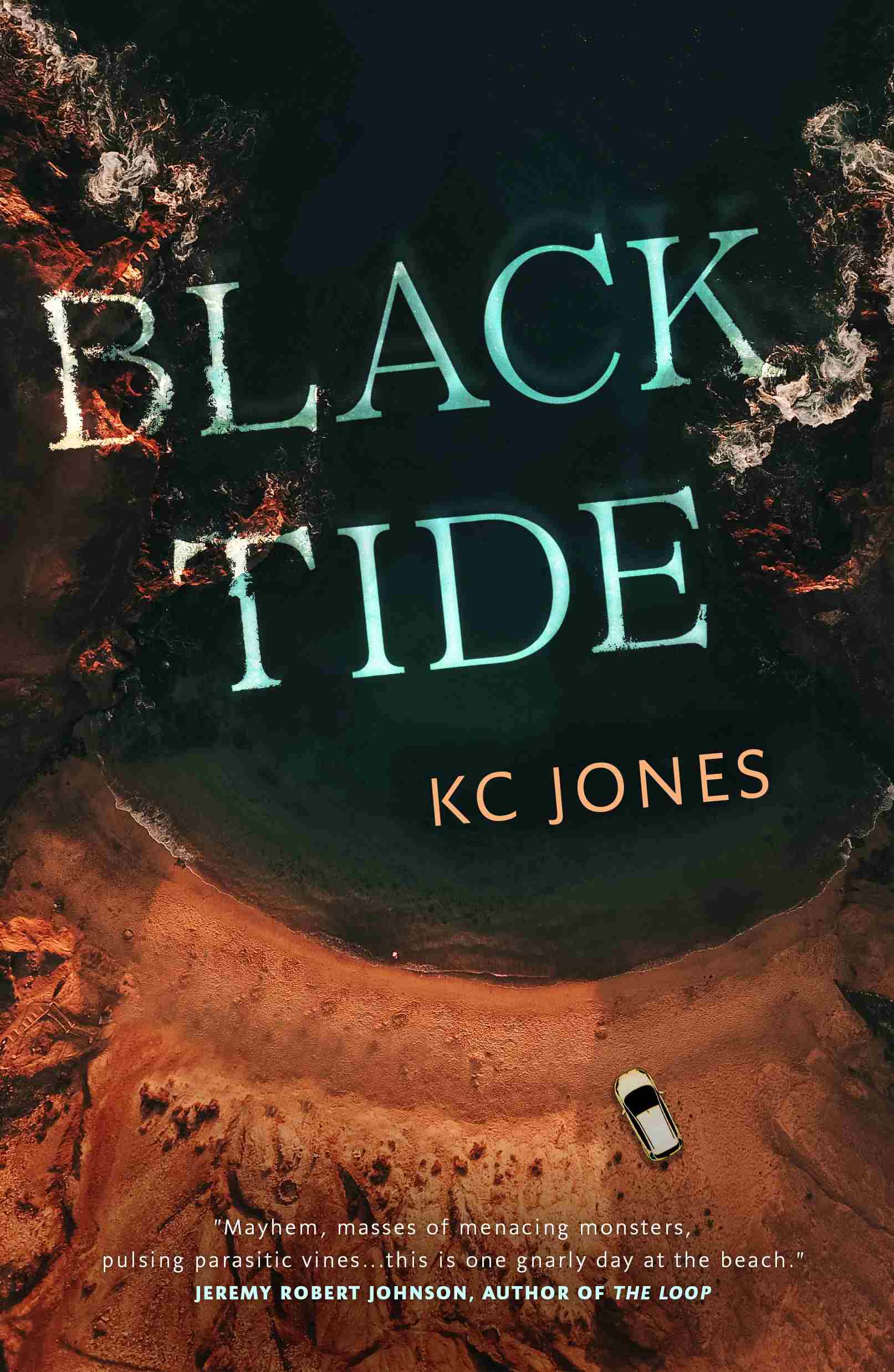 Black Tide ebook cover