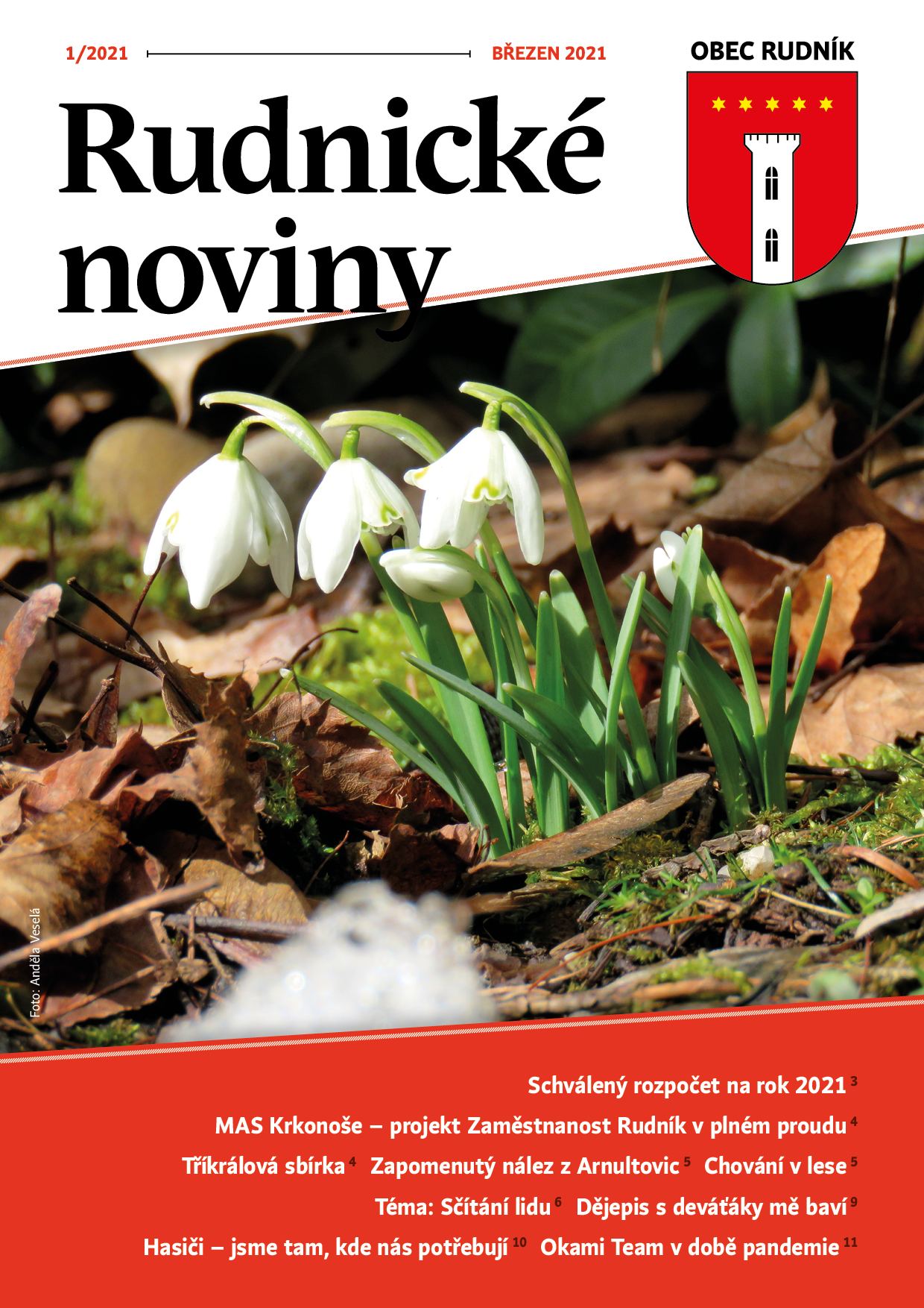 RN-01-2021 ebook cover