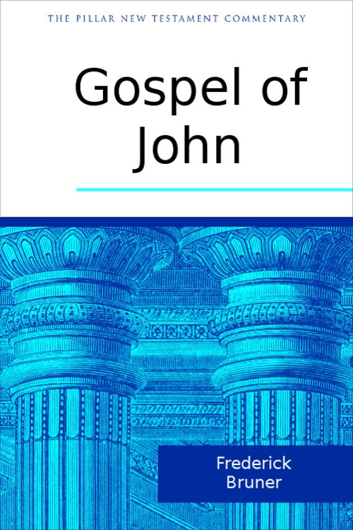 The Gospel of John: A Commentary ebook cover