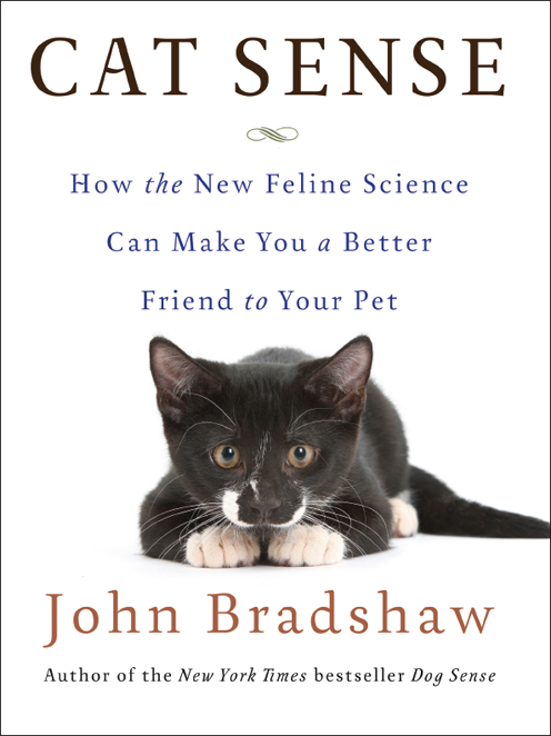 Cat Sense ebook cover