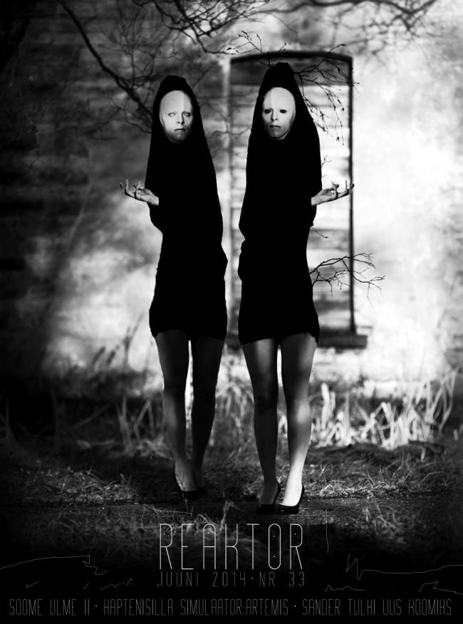 Reaktor nr33 ebook cover