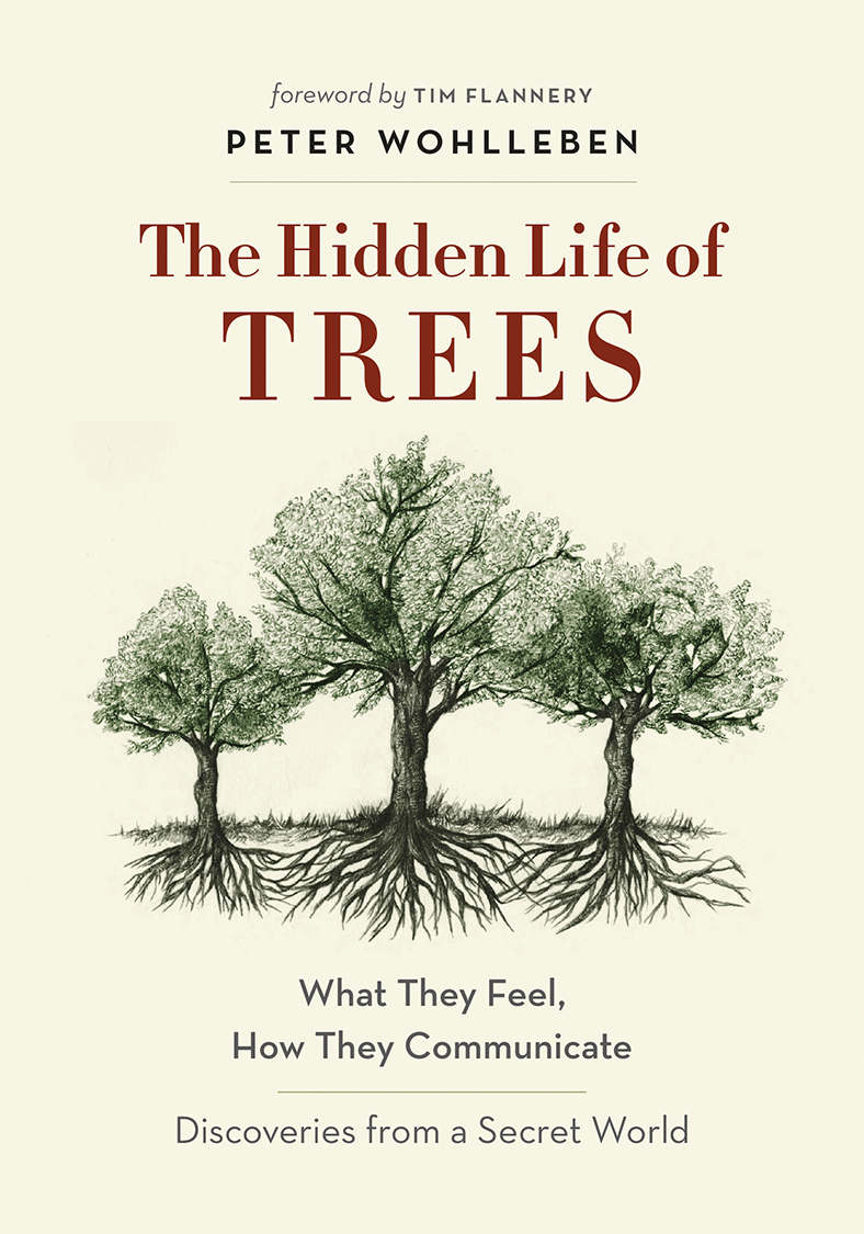 The Hidden Life of Trees: What They Feel, How They Communicate&Acirc;&mdash;Discoveries from a Secret World ebook cover