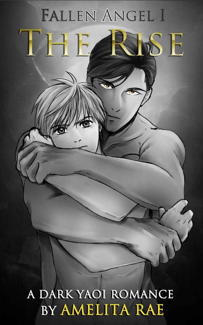 The Rise ebook cover