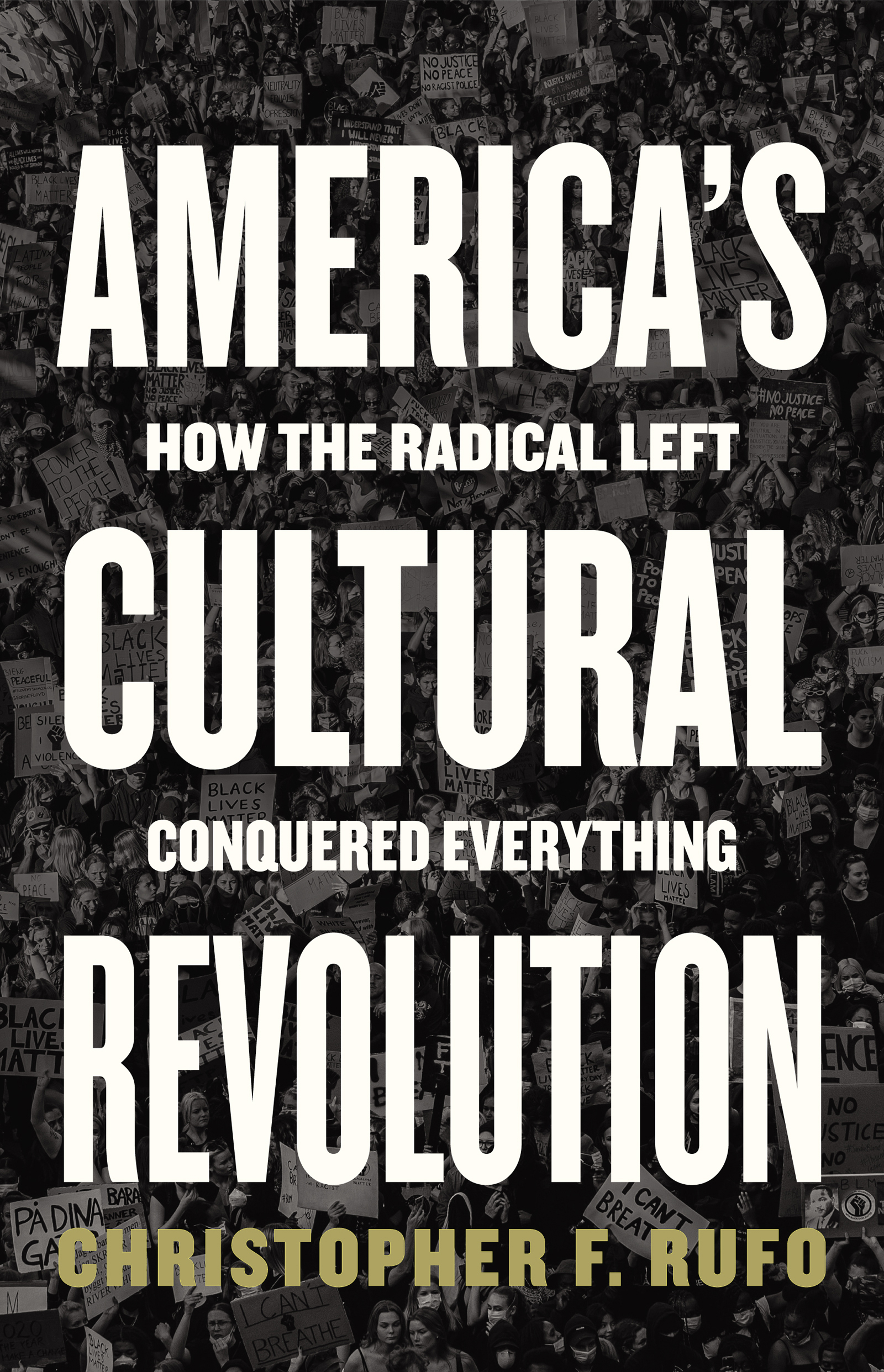 America's Cultural Revolution ebook cover