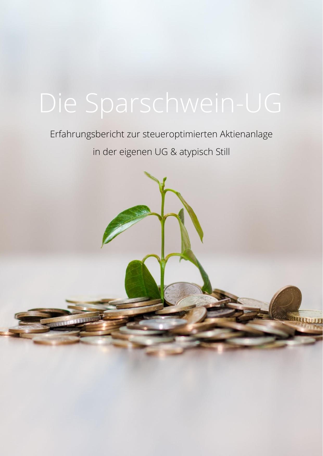Erfahrungsbericht zur steueroptimierten Aktienanlage in der eigenen UG & atypisch Still ebook cover