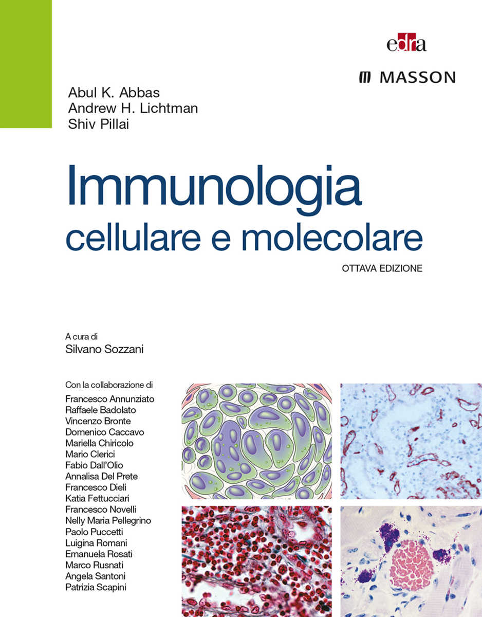 Immunologia cellulare e molecolare ebook cover