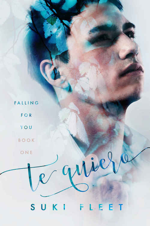 Te Quiero (Falling for You #1) ebook cover