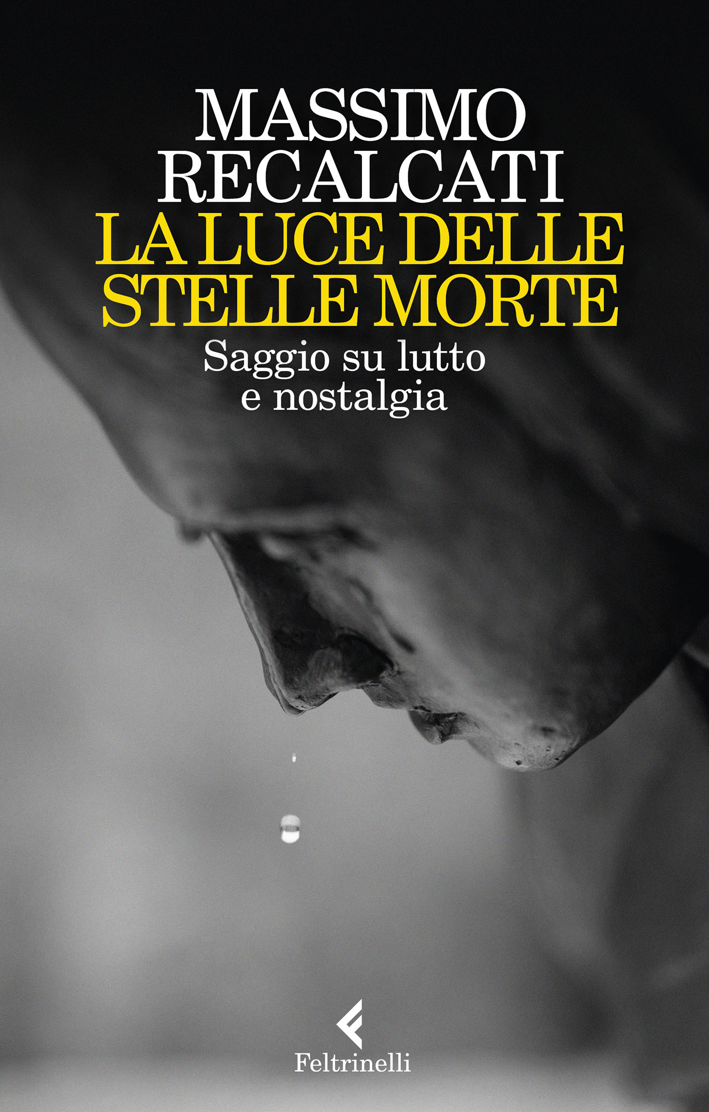La luce delle stelle morte ebook cover
