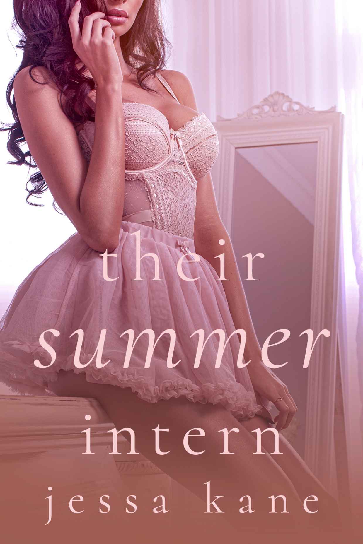 their summer intern ebook cover