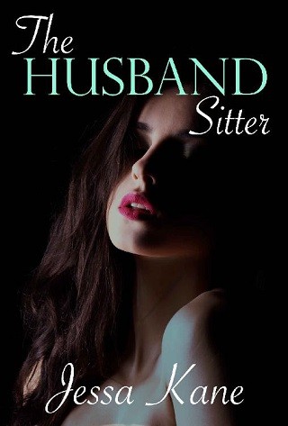 The Husband Sitter ebook cover