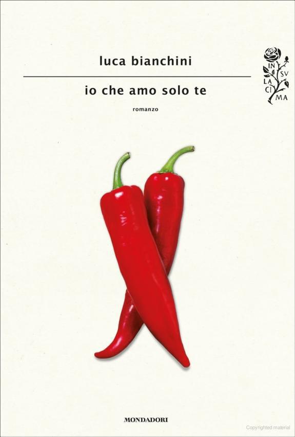 Io che amo solo te ebook cover