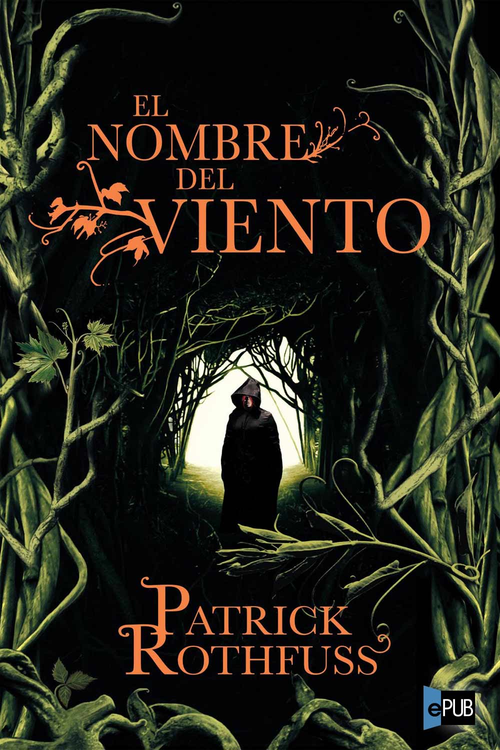 El nombre del viento ebook cover