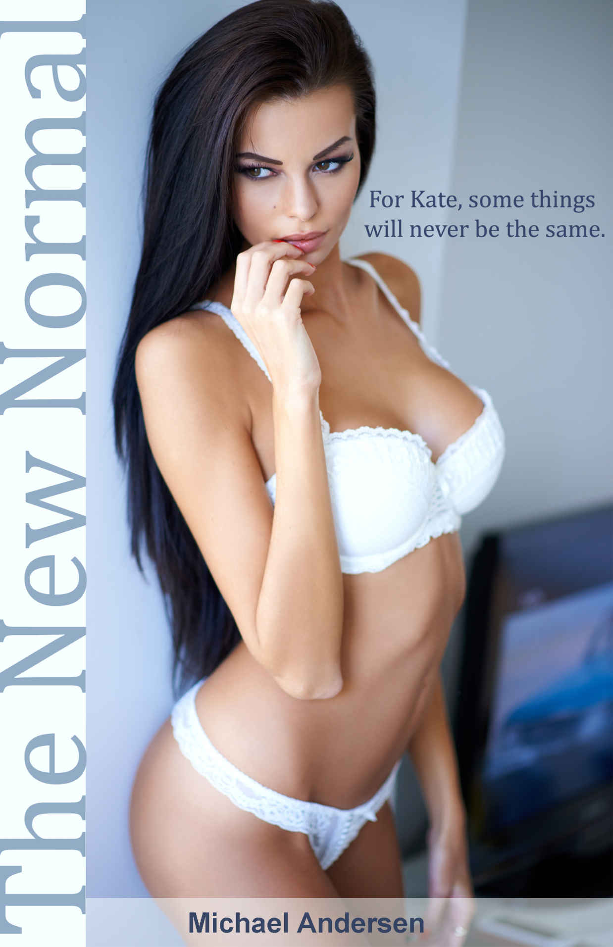 The New Normal ebook cover