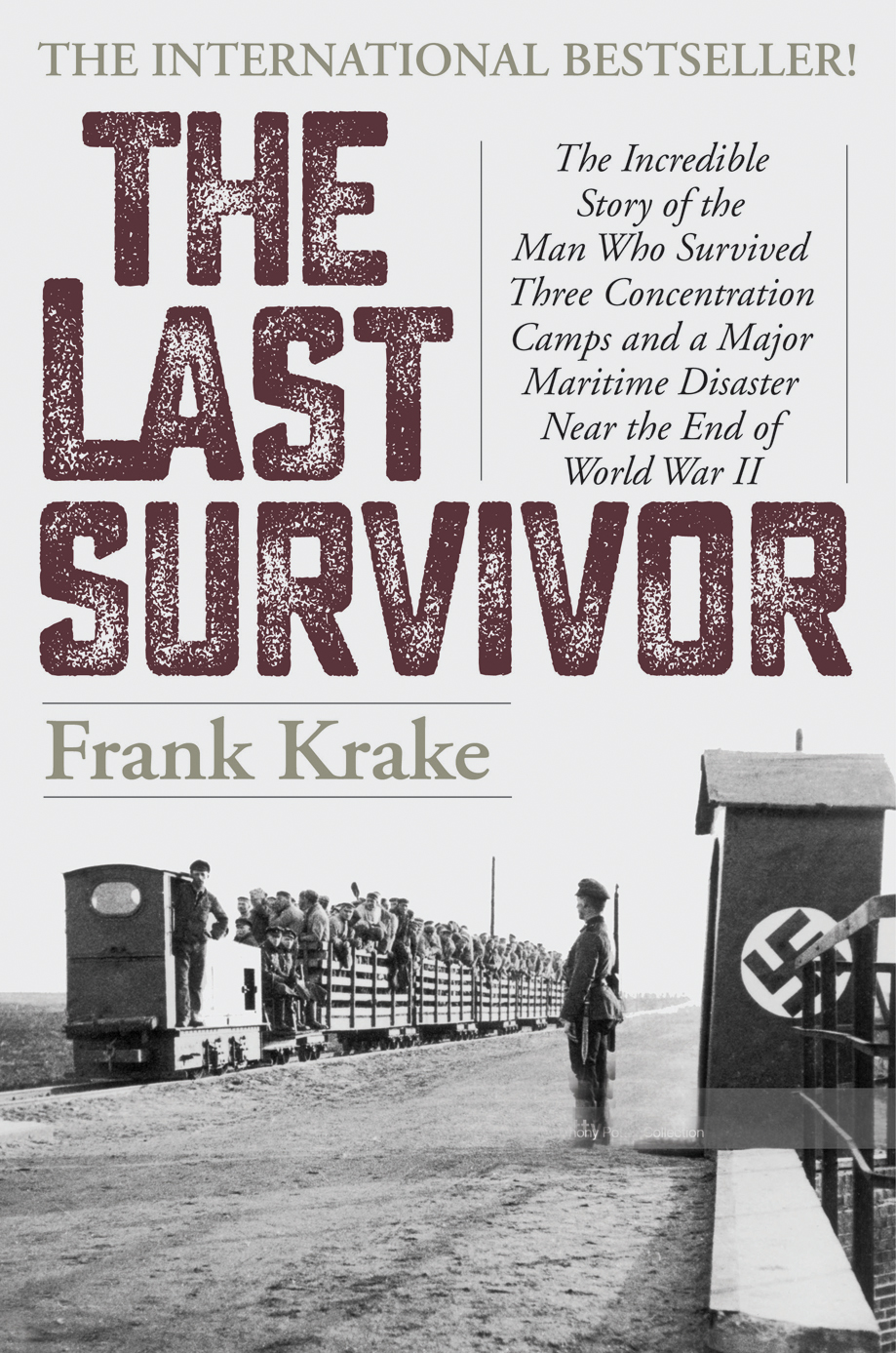 The Last Survivor ebook cover