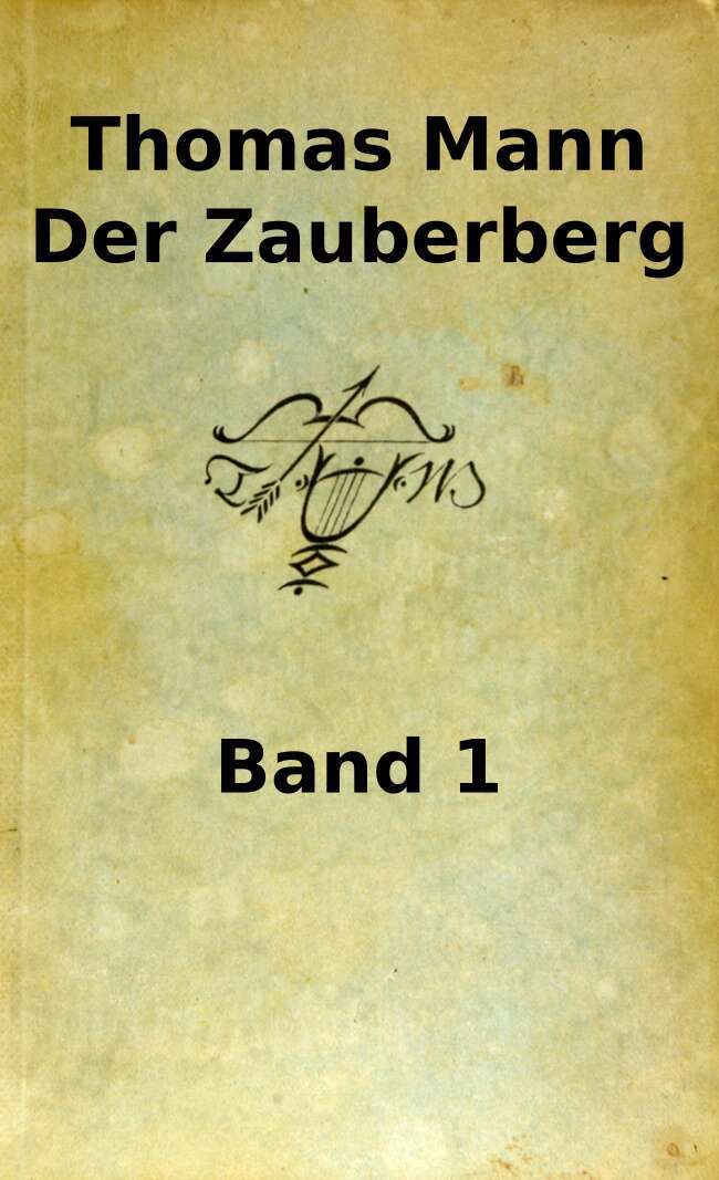 Der Zauberberg. Erster Band ebook cover