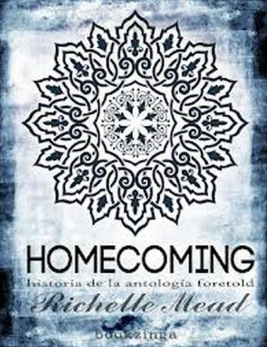 Homecoming ebook cover