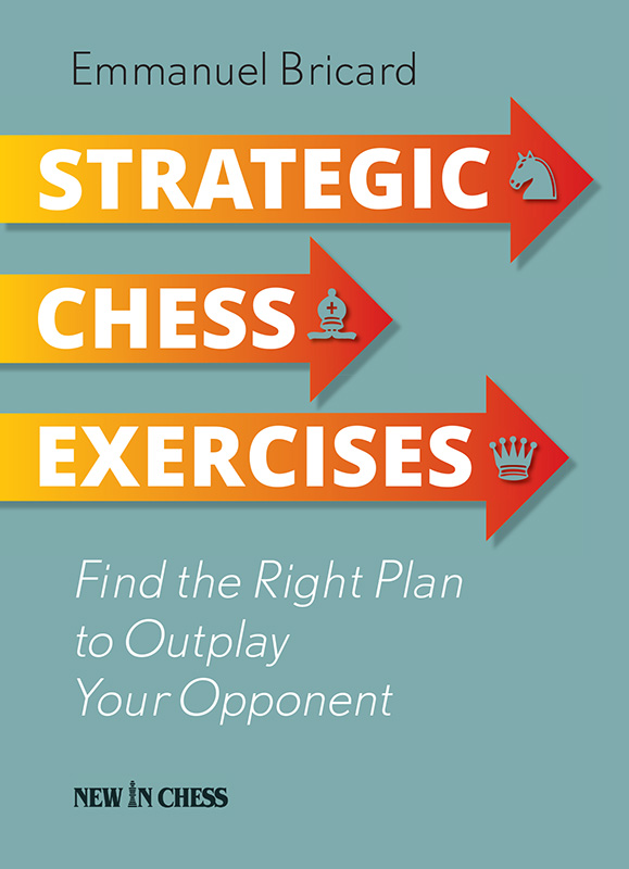 Strategic Chess Exercises ebook cover
