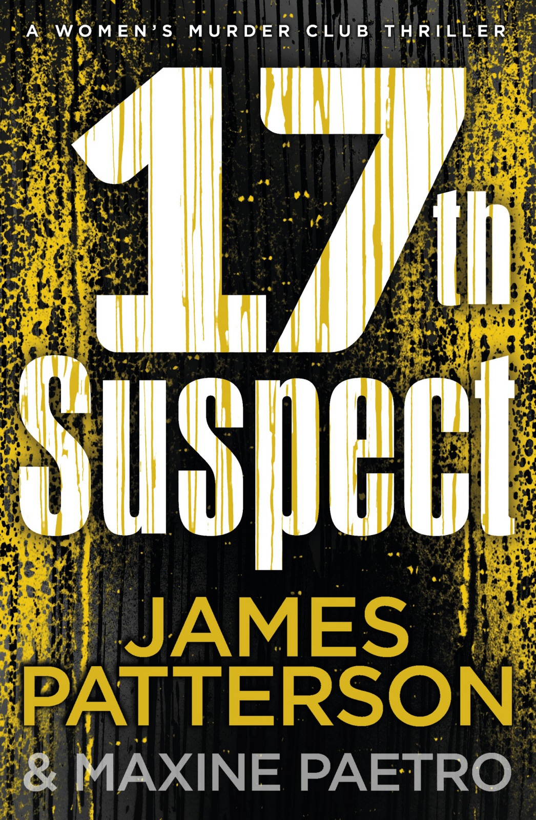 The 17th Suspect ebook cover