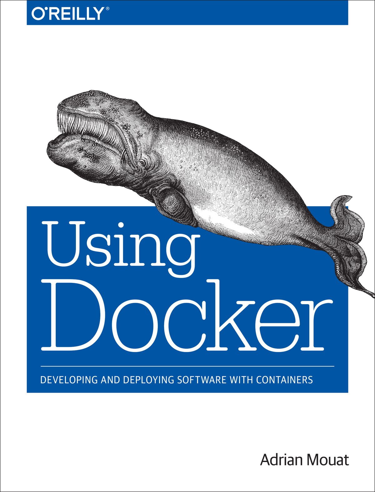 Using Docker ebook cover