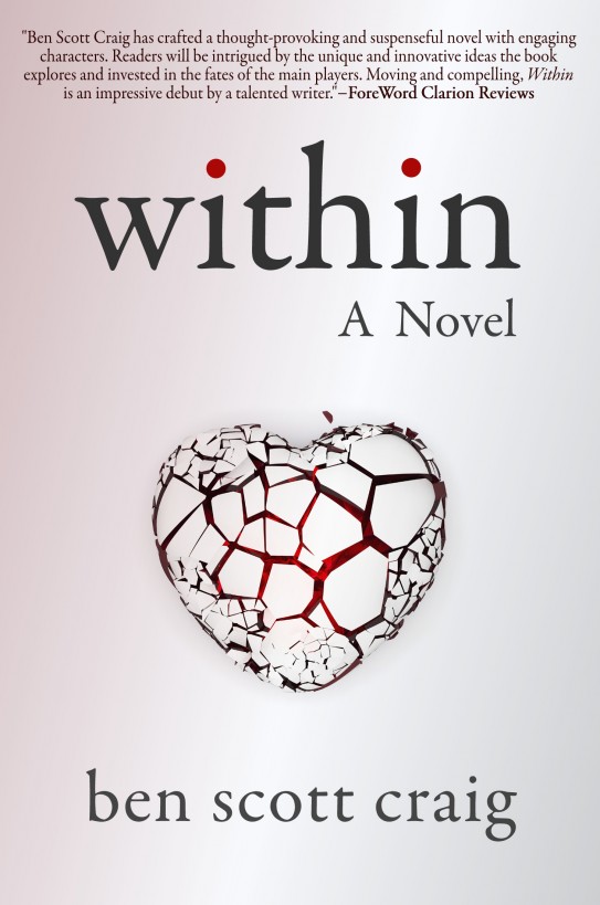 Within: A Medical Suspense Novel ebook cover
