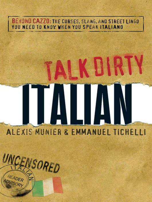 Talk Dirty Italian ebook cover