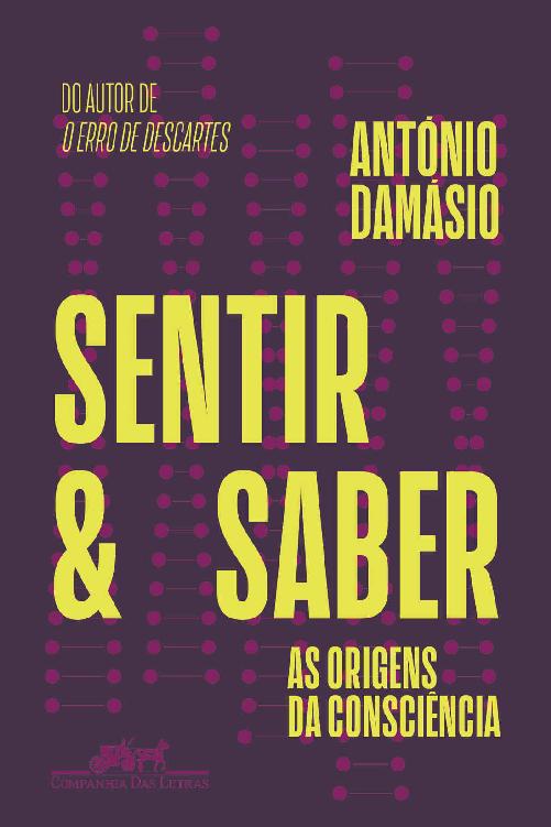 Sentir e saber ebook cover