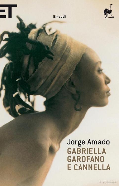 Gabriella garofano e cannella ebook cover