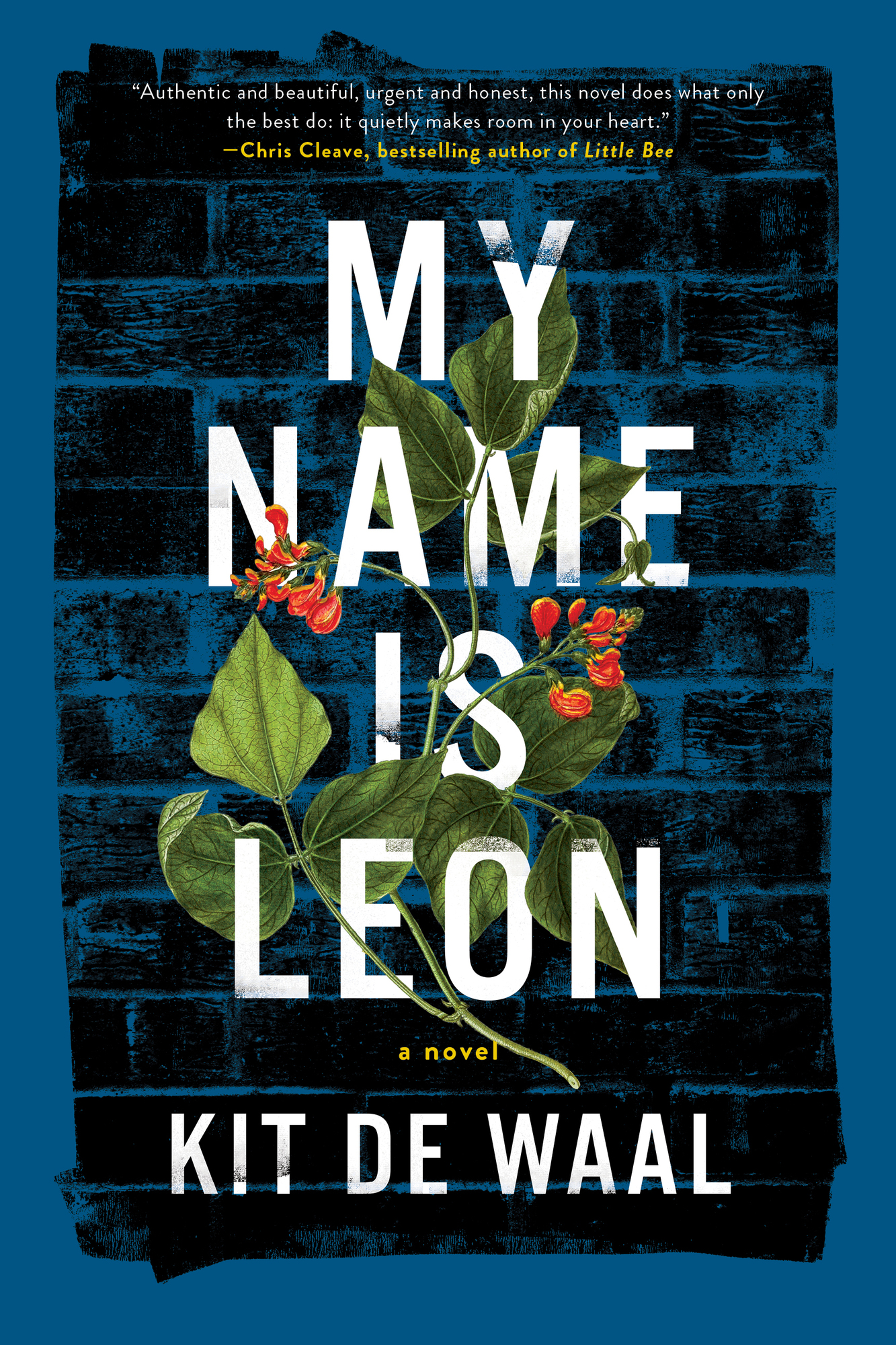 My Name Is Leon ebook cover
