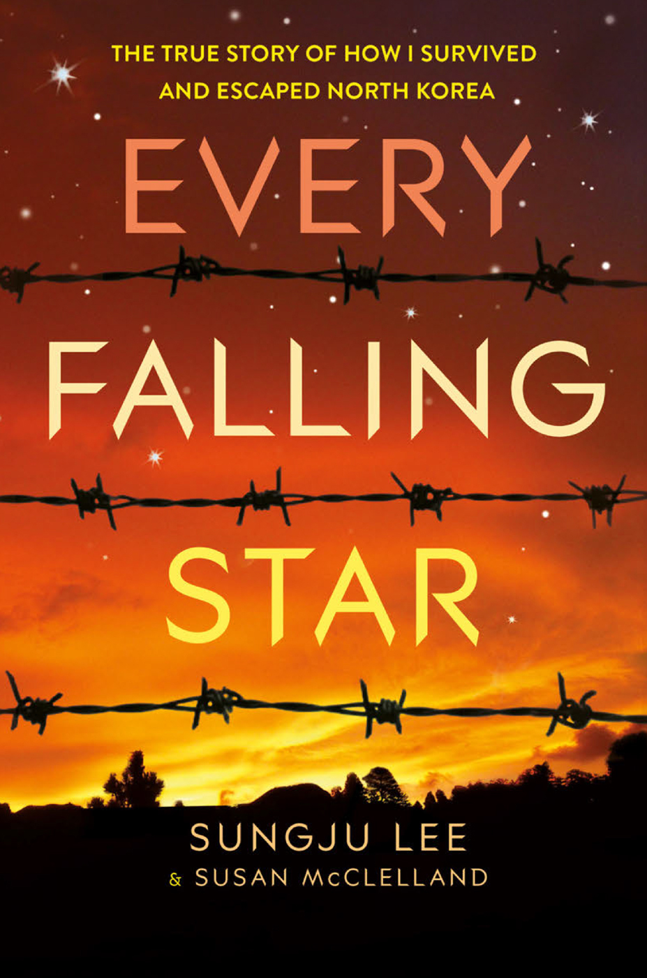 Every Falling Star ebook cover