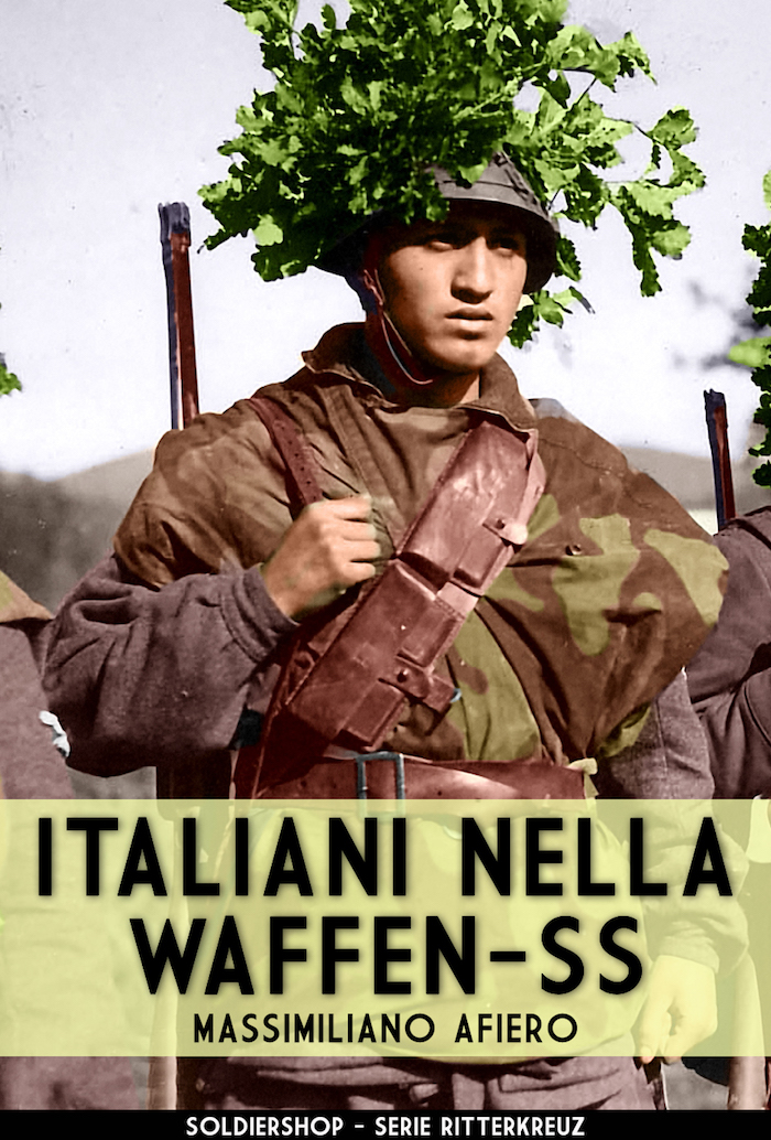 Italiani nella Waffen-SS ebook cover