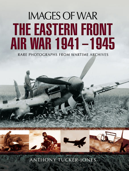 The Eastern Front Air War 1941-1945: Rare Photographs from Wartime Archives ebook cover